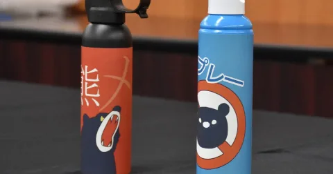 Jepang Terbitkan Standar Semprotan Beruang Pertama, Respons Maraknya Serangan dan Produk Palsu