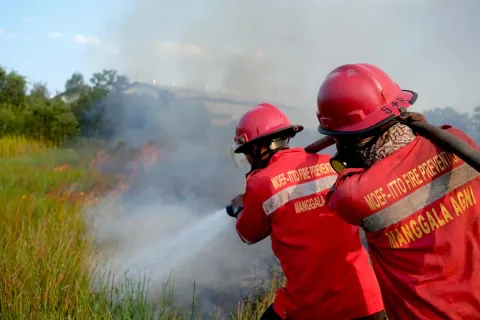 Kabut Asap Kembali Selimuti Palembang: Akar Masalah Karhutla Sumsel Tak Kunjung Tuntas