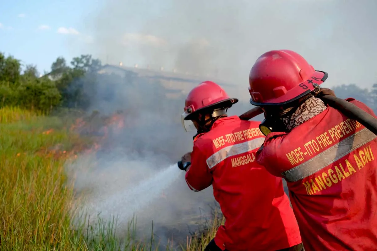 Kabut Asap Kembali Selimuti Palembang: Akar Masalah Karhutla Sumsel Tak Kunjung Tuntas