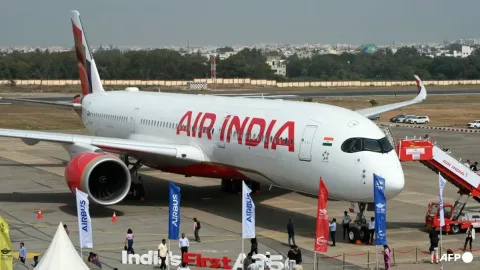 Temasek Beri Lampu Hijau Investasi SIA di Air India: Strategi Jangka Panjang atau Jebakan Buntung?