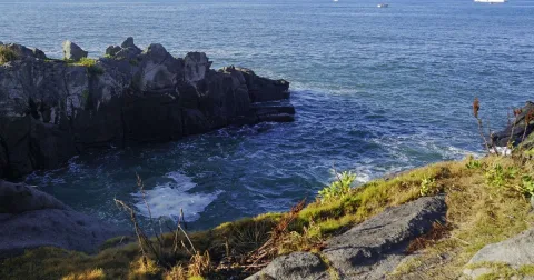 Tiga Pelajar Tewas Terseret Ombak di Jepang: Peringatan Keras bagi Wisatawan Pantai