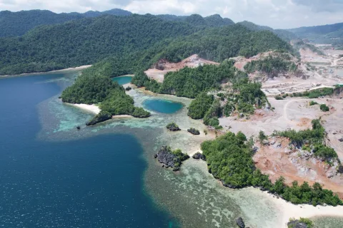 Tambang di Pesisir Teluk Moramo Menggerus Habitat Ikan Napoleon yang Dilindungi