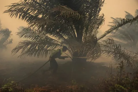 Jepang Kirim Helikopter Water Bombing, ISPU Kalimantan Tembus 1.108