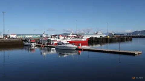 Ancaman Trump atas Greenland Bayangi Referendum Islandia: EU atau Kedaulatan?