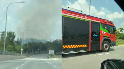 Kebakaran Lahan 3 Hektare di Seletar Link Padam, SCDF Kerahkan Mesin Pemadam Tanpa Awak