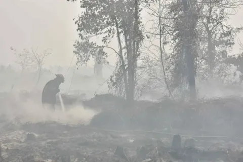Kabut Asap Riau: Kasus ISPA Melonjak 1.960 dalam Sepekan, Sekolah Dialihkan ke Daring
