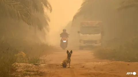 Kabut Asap Kalimantan Kian Parah: Palangkaraya Catat AQI 780, Jepang Kirim Misi Pemadaman