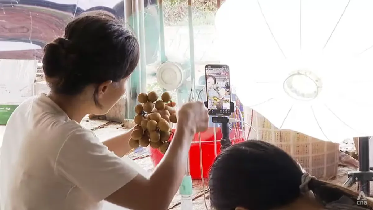 Petani Guangdong Melawan Cuaca Ekstrem: Adaptasi Jadi Kunci Bertahan