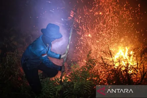 Titik Panas Karhutla Melonjak di Kalbar, BNPB Imbau Waspadai Kualitas Udara