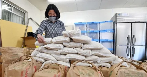 Jepang Serap Kembali 210.000 Ton Beras: Strategi Stabilisasi Harga di Tengah Kekhawatiran Petani