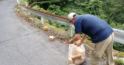 39 Kilogram Roti Dibuang Liar di Jepang: Ulah Warga atau Pemicu Konflik Beruang?