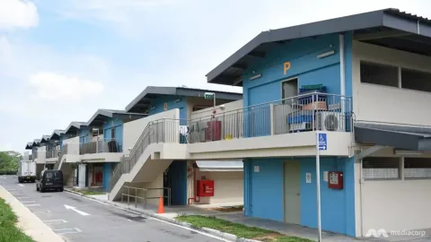 Delapan Penyewa The Animal Lodge Singapura Kehilangan Kontrak: Standar Kesejahteraan Hewan Jadi Sorotan