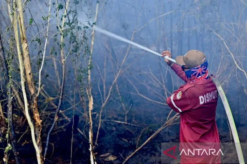 BMKG Catat 1.299 Titik Panas di Kalsel, Seluruh Wilayah Masuk Kategori Sangat Mudah Terbakar