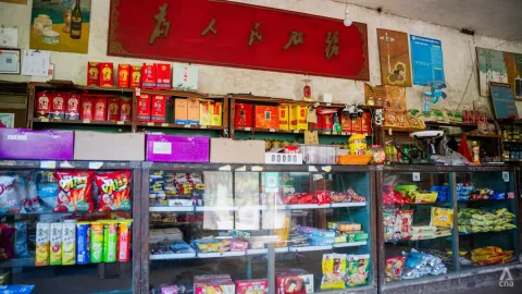 Beijing Perkuat Jaringan Koperasi Desa: Bukan Sekadar Toko, tapi Benteng Ketahanan Pangan