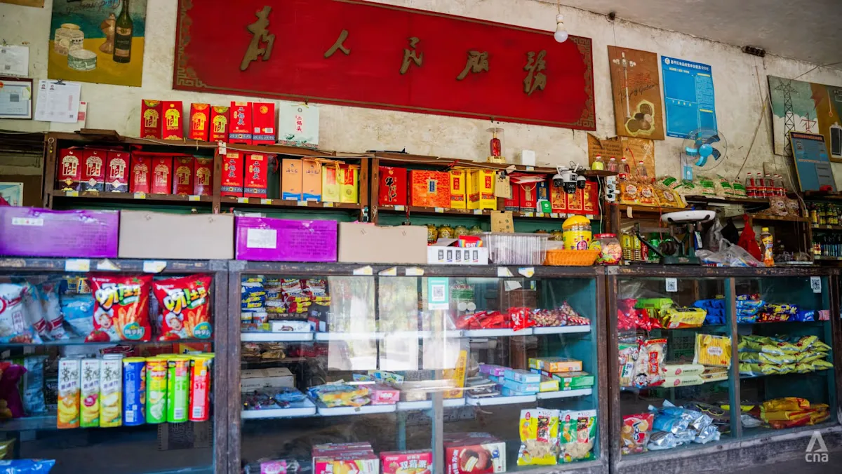 Beijing Perkuat Jaringan Koperasi Desa: Bukan Sekadar Toko, tapi Benteng Ketahanan Pangan