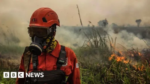 Kabut Asap Super El Niño Kembali Selimuti Asia Tenggara: 50 Ribu Warga Terdampak ISPA