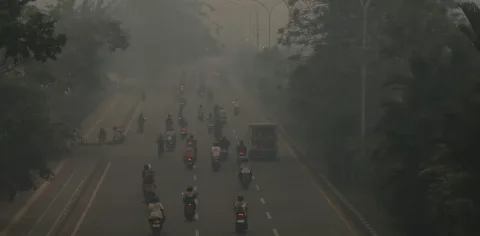 Sanksi Karhutla Timpang: Kerugian Negara Capai Rp123 Triliun, Hukum Tak Berdampak Jera