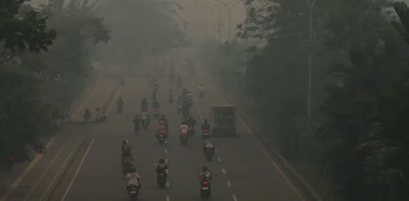 Sanksi Karhutla Timpang: Kerugian Negara Capai Rp123 Triliun, Hukum Tak Berdampak Jera