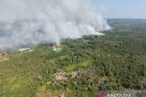 Karhutla 44 Km dari IKN Kembali Membara, TNI AU Terjunkan Helikopter Caracal