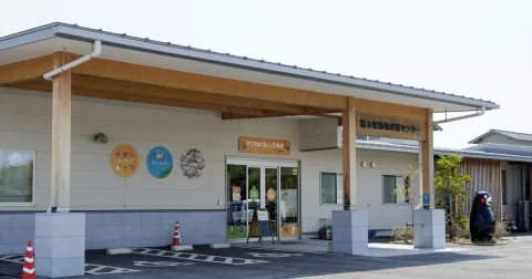 Gempa Kumamoto: 272 Hewan Peliharaan Hilang, Kurang dari Separuh Ditemukan