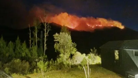 Karhutla Gunung Ungup-Ungup Meluas ke Bondowoso, Kawah Ijen Ditutup