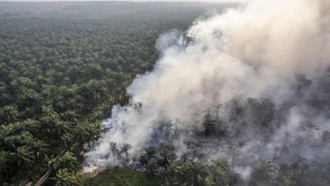 Karhutla 2026: 112 Tersangka Ditetapkan, Riau dan Kalbar Jadi Sorotan