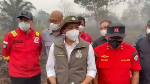 Menteri Kehutanan Terbang ke Kalteng: Orang Utan Jadi Korban Asap Karhutla