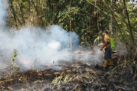 Status Awas Kekeringan di Banyumas: BPBD Siagakan Mitigasi Karhutla dan Imbau Penghematan Air
