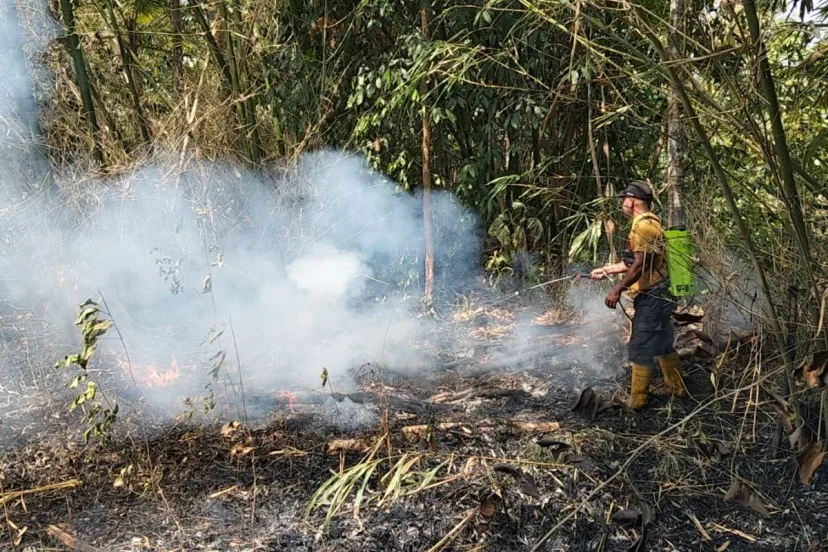 Status Awas Kekeringan di Banyumas: BPBD Siagakan Mitigasi Karhutla dan Imbau Penghematan Air
