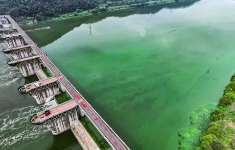 Air Keran Korea Selatan Layak Minum, tapi Warganya Lebih Pilih Air Kemasan: Apa Akar Masalahnya?