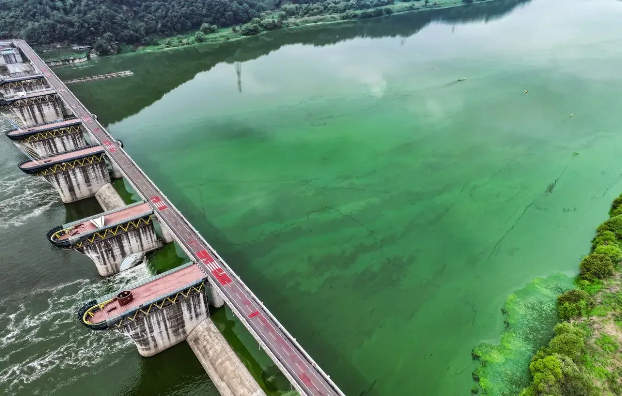 Air Keran Korea Selatan Layak Minum, tapi Warganya Lebih Pilih Air Kemasan: Apa Akar Masalahnya?