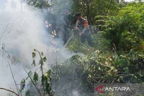 Polri Tetapkan 113 Tersangka Karhutla, Riau Jadi Wilayah Terbanyak