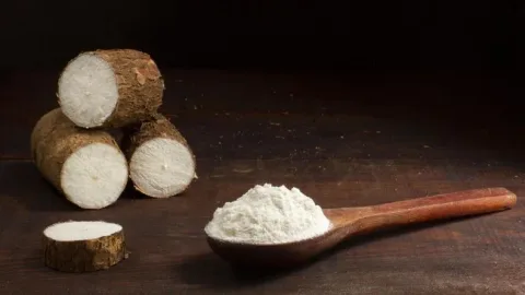 Tepung Singkong untuk Padamkan Karhutla: BRIN Kaji Potensi Besar di Balik Pernyataan Presiden