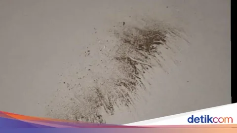 Hujan Abu Gunung Anak Krakatau Mulai Guyur Pandeglang, Warga Diminta Waspada