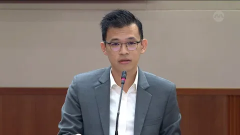 Debat Investasi SIA–Air India Memanas: Kenneth Tiong Bantah Tuduhan Rasis, Tegaskan Kritik Murni Komersial