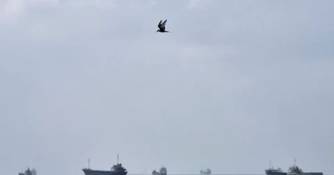 AS Serang Tanker Minyak Iran, Eskalasi di Timur Tengah Kian Memanas