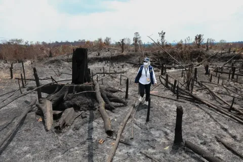 Karhutla di Sekitar IKN: Ujian Nyata Konsep Forest City dan Kesiapan Anggaran