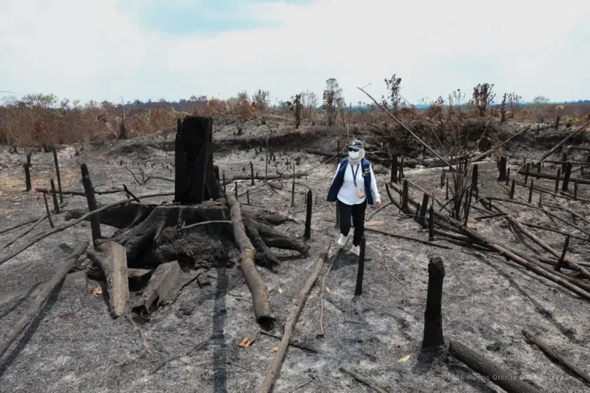 Karhutla di Sekitar IKN: Ujian Nyata Konsep Forest City dan Kesiapan Anggaran