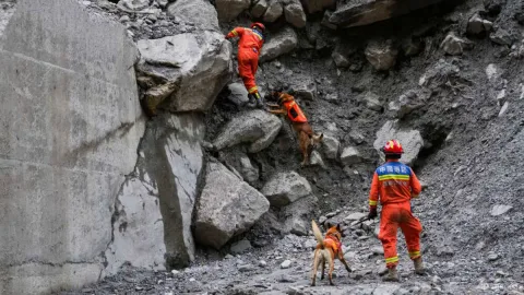 Bencana Himalaya: Korban Tewas di Tibet Capai 43 Orang, 519 Hilang
