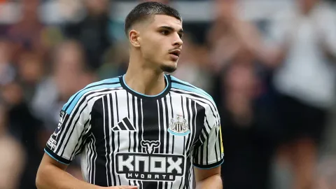 Newcastle Temukan Permata Baru: Sean Steur Dinilai Lebih Menjanjikan daripada Fernandez-Pardo