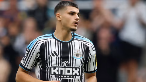 Newcastle Temukan Permata Baru: Sean Steur Dinilai Lebih Menjanjikan daripada Fernandez-Pardo