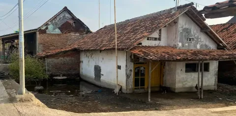 Banjir Rob di Pekalongan: Beban Ganda Perempuan dan Laki-laki yang Terus Tenggelam