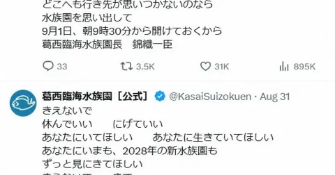 Akuarium Tokyo Menjadi Pelipur Lara: Pesan 'Jangan Menghilang' Viral di Tengah Meningkatnya Bunuh Diri Anak