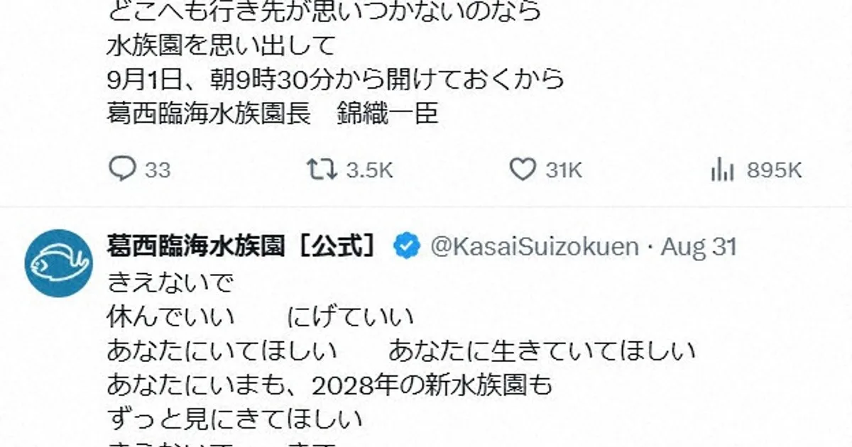 Akuarium Tokyo Menjadi Pelipur Lara: Pesan 'Jangan Menghilang' Viral di Tengah Meningkatnya Bunuh Diri Anak