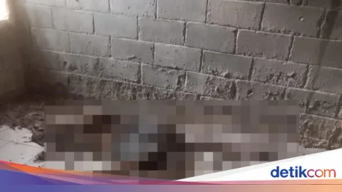Misteri 5 Tahun Terungkap: Kakak-Adik di Banyuasin Tewas Usai Alami Kekerasan Seksual, Pelaku Pacar Korban