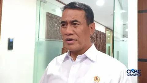 Amran Akui Subsidi Pertanian RI Jauh di Bawah Vietnam: Produksi Beras Tertekan