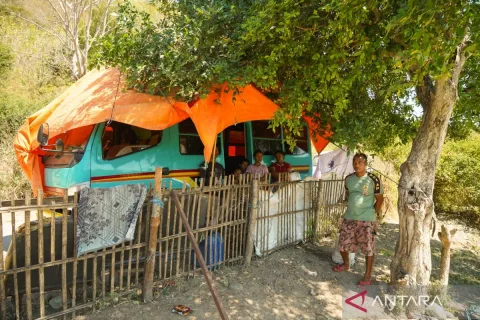 Verifikasi Rumah Korban Gempa Flores Capai 51.591 Unit, BNPB Kejar Target Pendataan