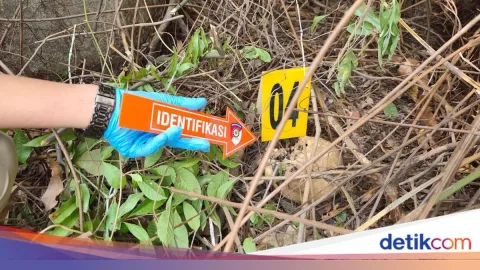 Kakak Beradik di Banyuasin Dibunuh Setelah Alami Rudapaksa: Polisi Amankan Dua Pelaku dalam Hitungan Jam