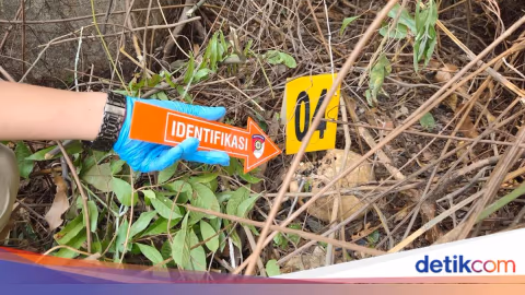 Kakak Beradik di Banyuasin Dibunuh Setelah Alami Rudapaksa: Polisi Amankan Dua Pelaku dalam Hitungan Jam