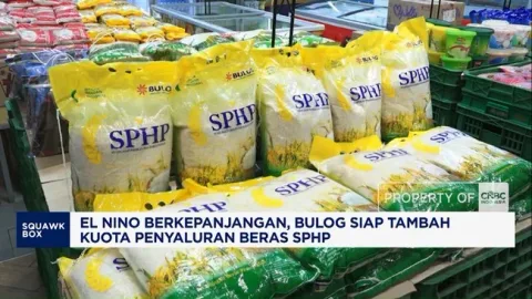 El Nino Diprediksi Hingga 2027, Bulog Siapkan Tambahan Stok Beras 1 Juta Ton